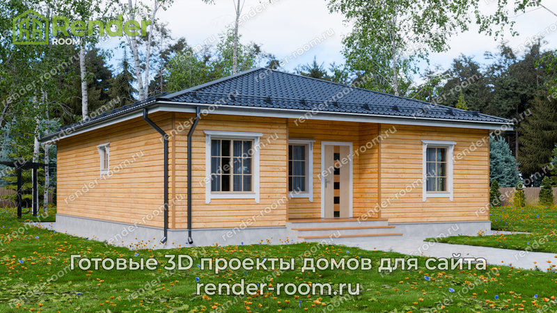 3D Проект П-582, миниатюра 4