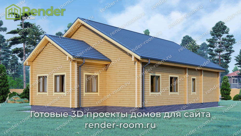 3D Проект П-741 — миниатюра 2
